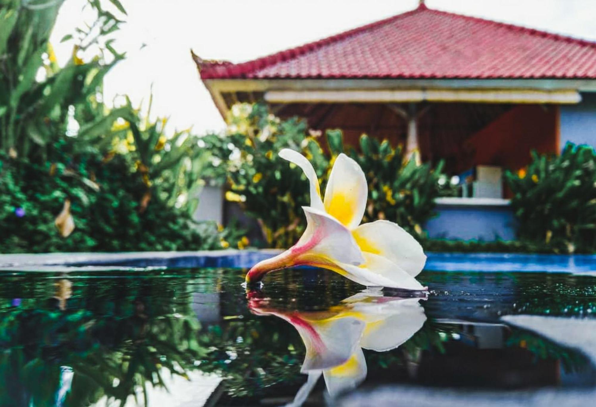 Hokita Home Stay Nusa Lembongan  Bagian luar foto